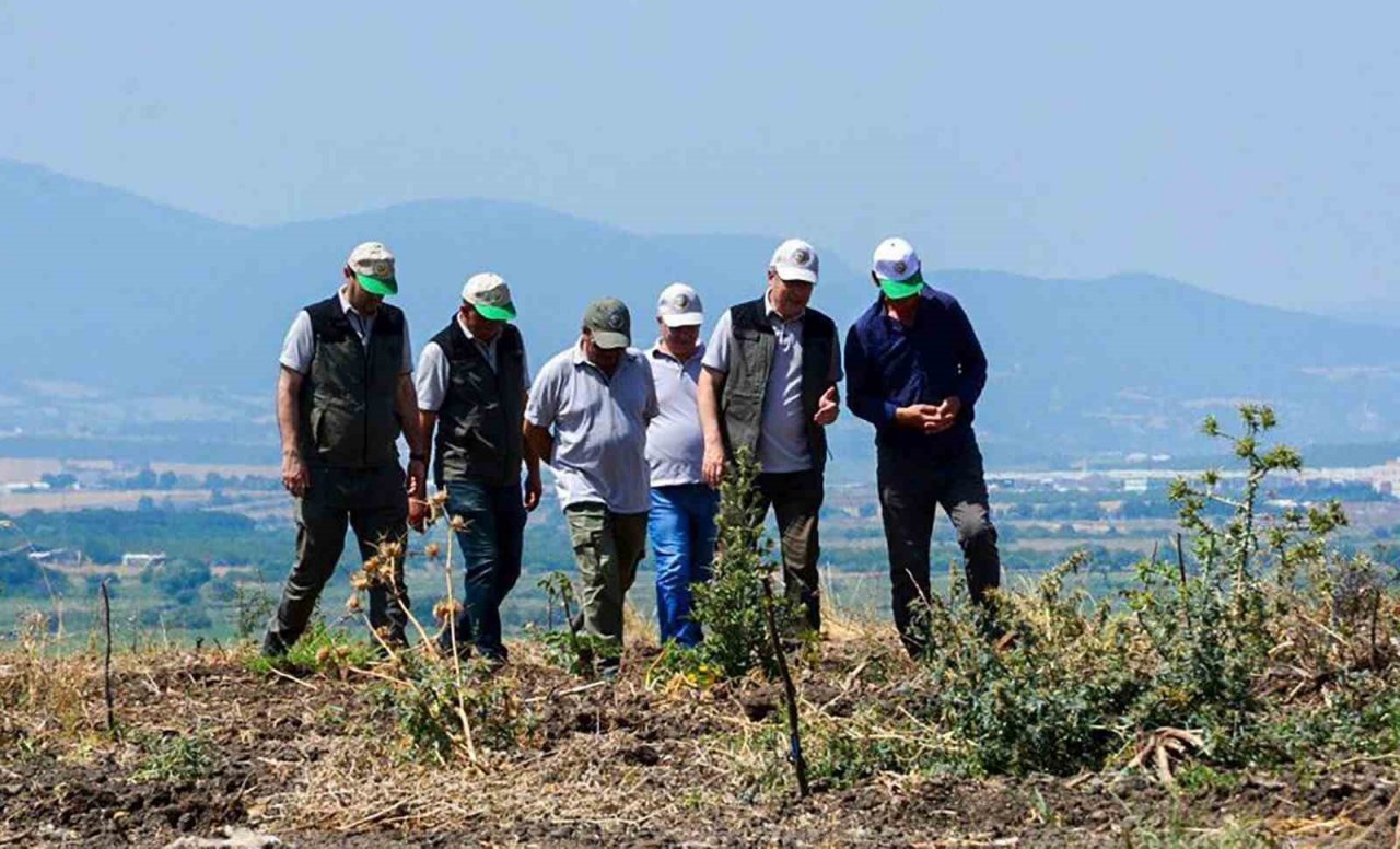Gönen ve Ilıcak’ta "Gelir Getirici Tür" Ağaçlandırması