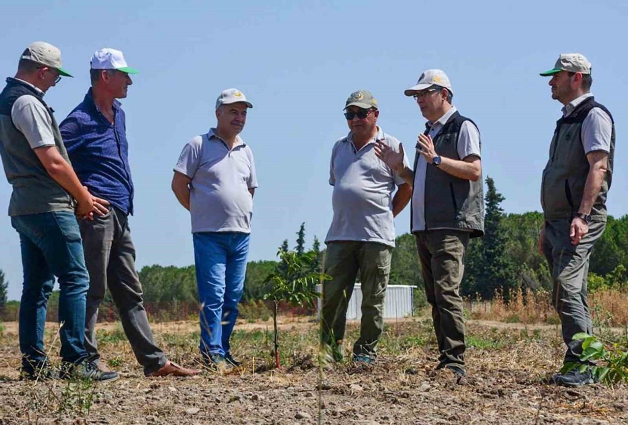 Gönen ve Ilıcak’ta "Gelir Getirici Tür" Ağaçlandırması