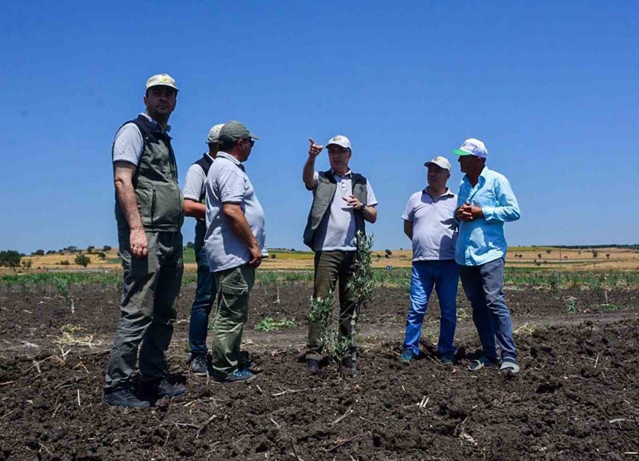 Gönen ve Ilıcak’ta "Gelir Getirici Tür" Ağaçlandırması