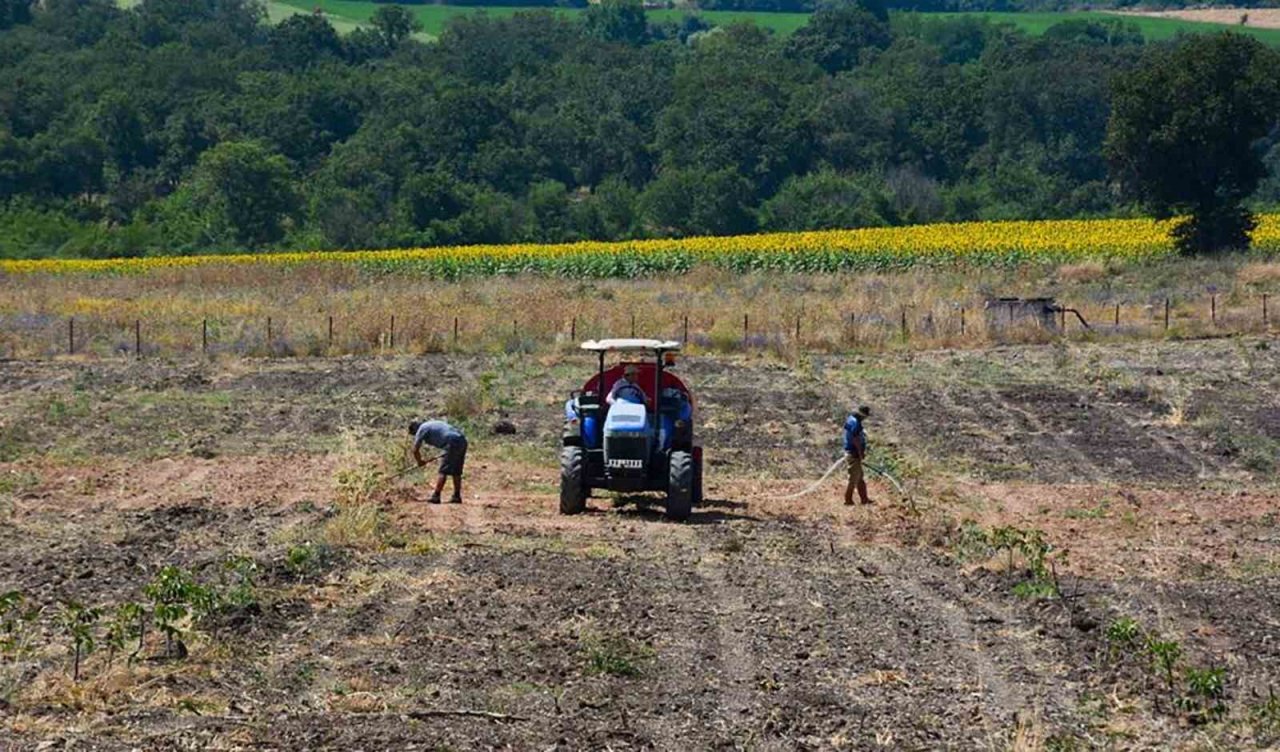 Gönen ve Ilıcak’ta "Gelir Getirici Tür" Ağaçlandırması