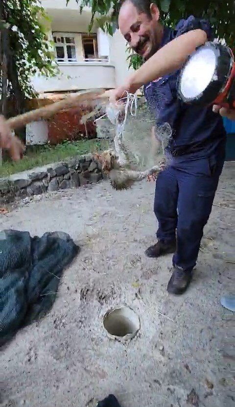 Gümüşhane’de tırıvırıyla kedi kurtarma operasyonu