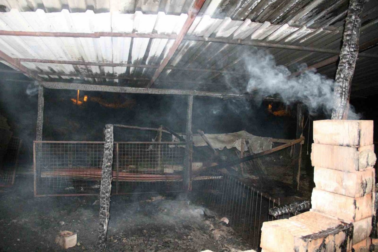 Menteşe Karabağlar yaylasında yangın