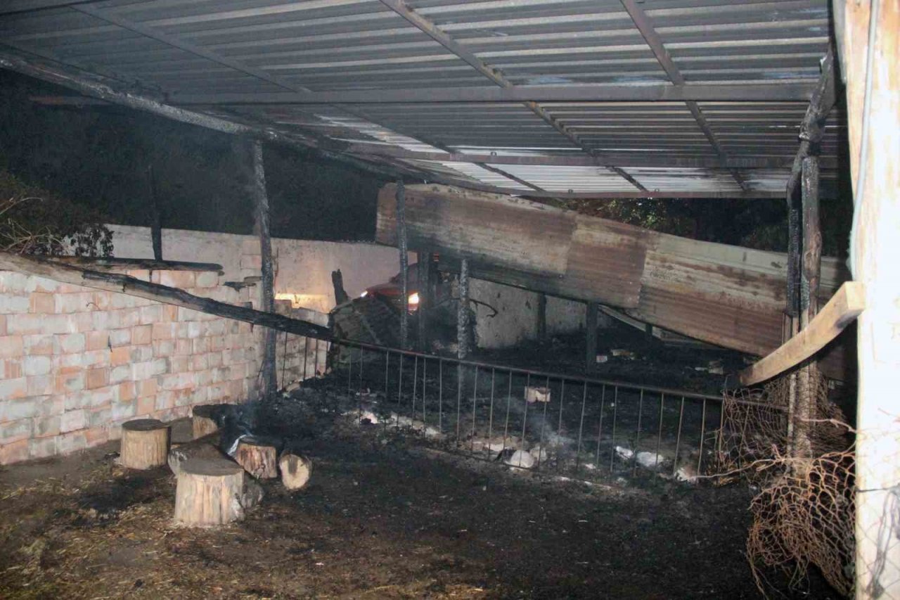 Menteşe Karabağlar yaylasında yangın