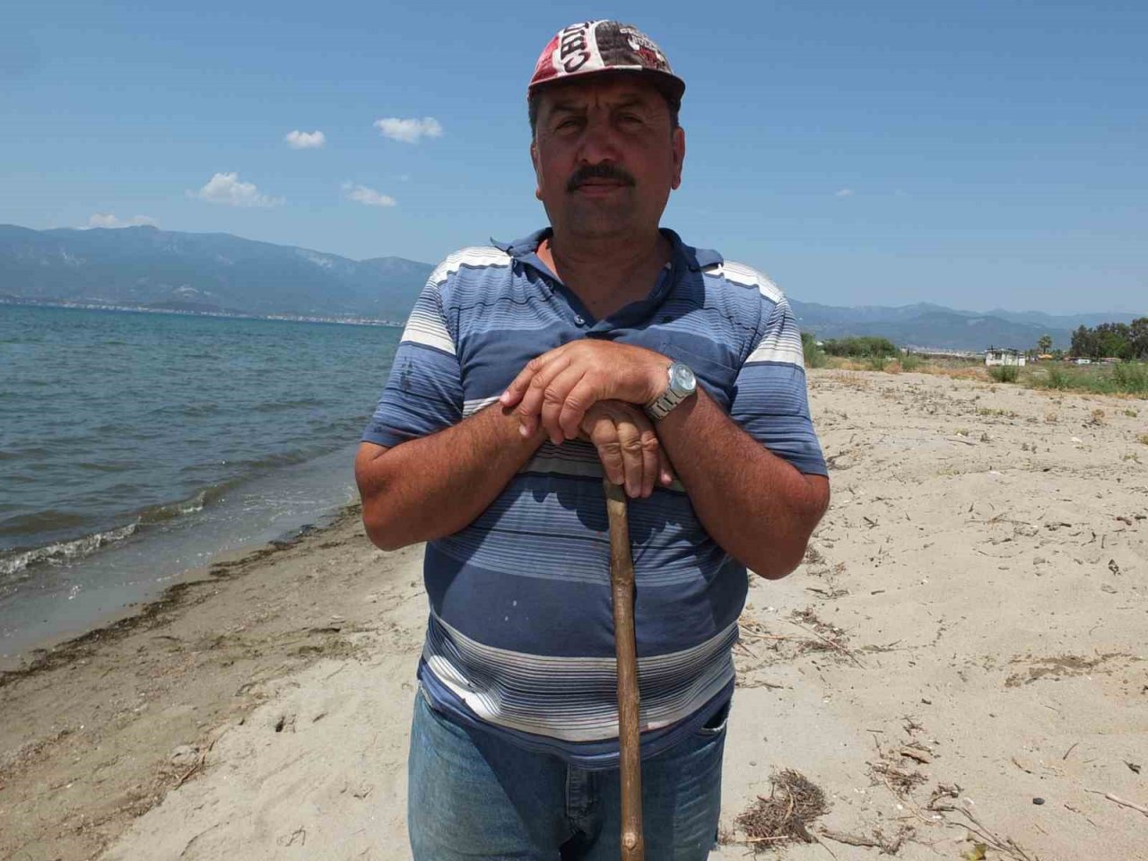 Balıkesir’de sıcaktan bunalan inekler soluğu denizde alıyor