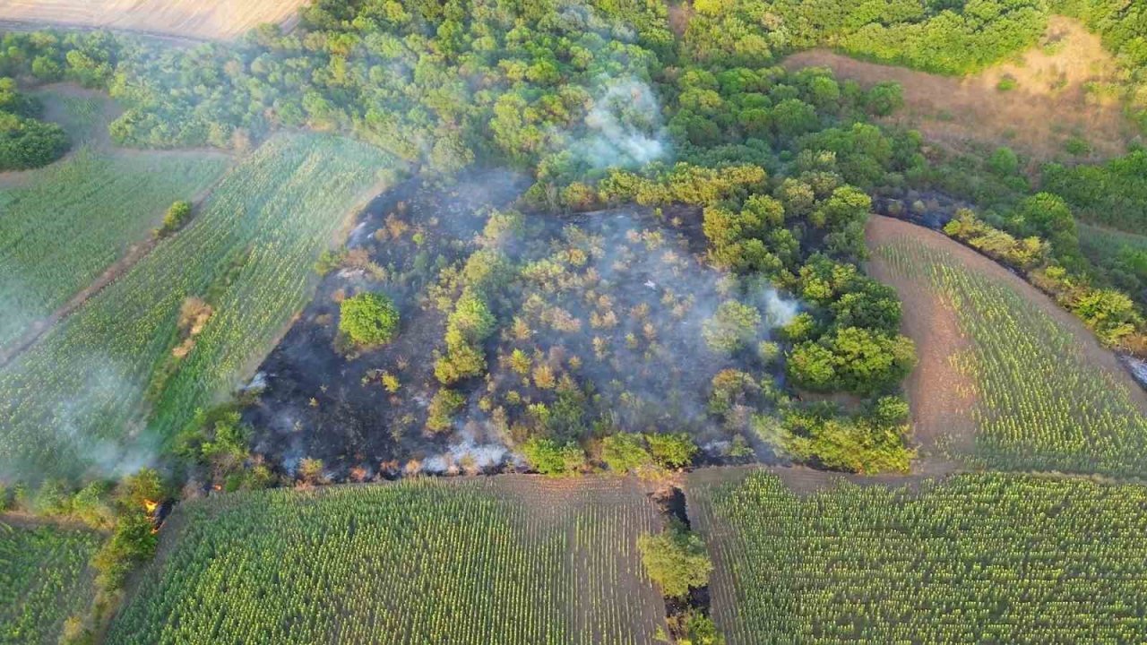 Edirne’deki orman yangınının havadan görüntüsü ortaya çıktı