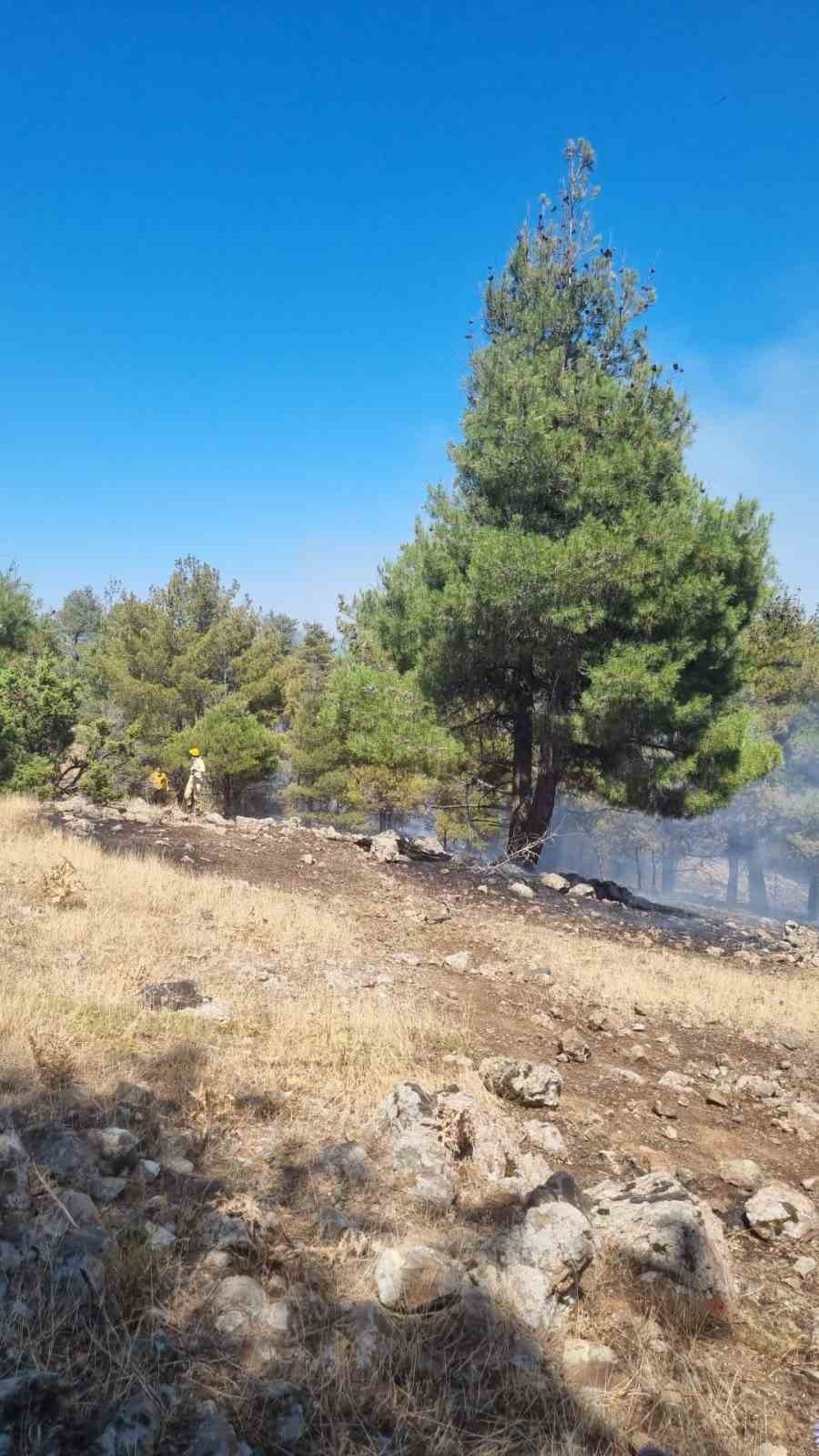 Anızdan ormana sıçrayan yangın kontrol altına alındı