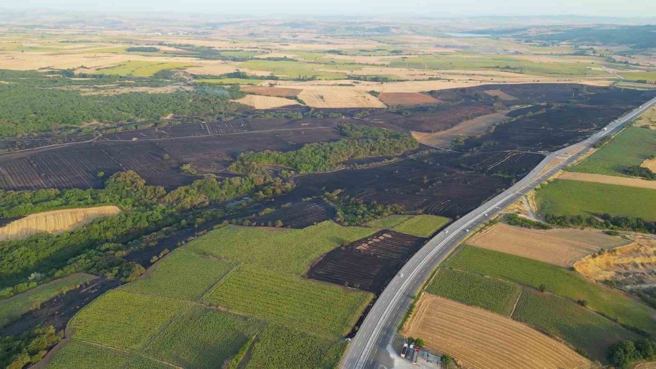 Edirne’deki orman yangınının havadan görüntüsü ortaya çıktı