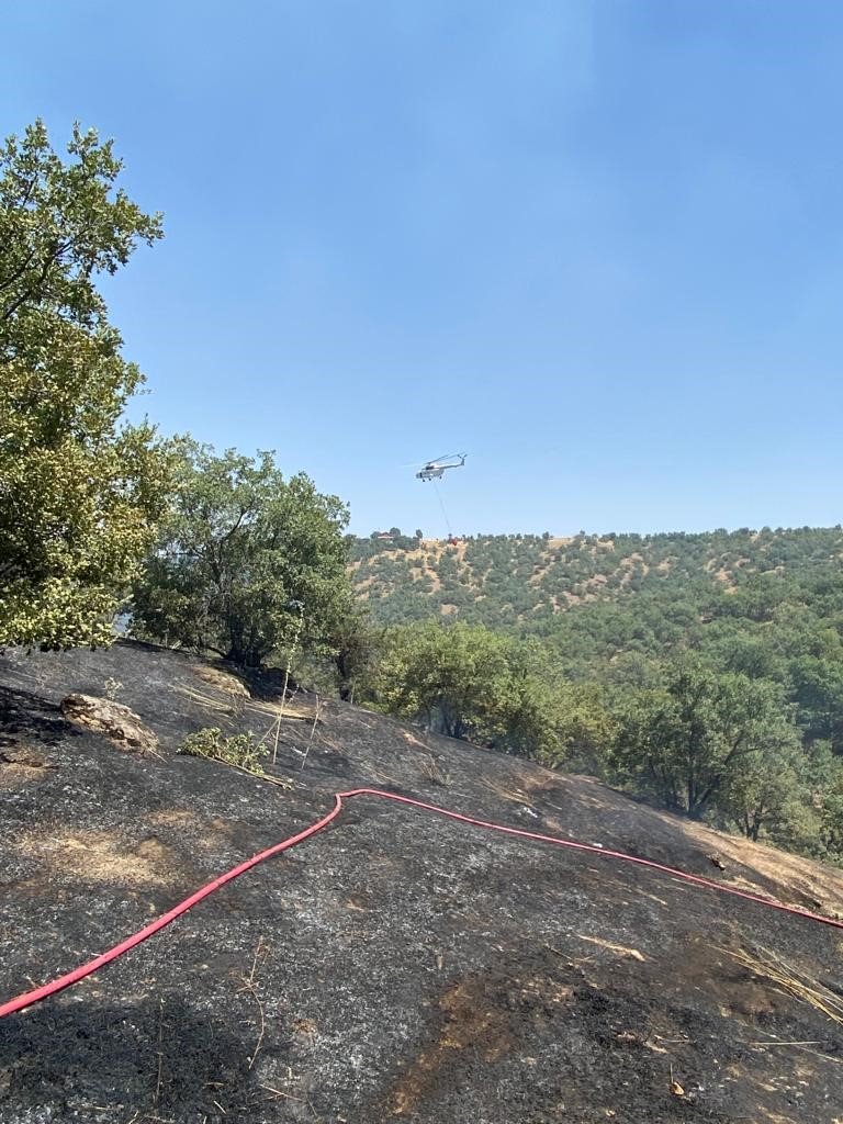 Eşme’de ağaçlı alanda çıkan yangın korkuttu