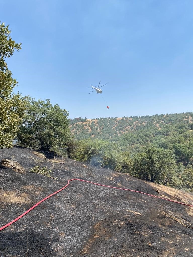 Eşme’de ağaçlı alanda çıkan yangın korkuttu
