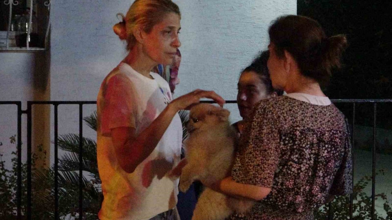 Adana’da korkutan yangın: Bir apartman sakini kucağında köpeğiyle dışarı çıktı