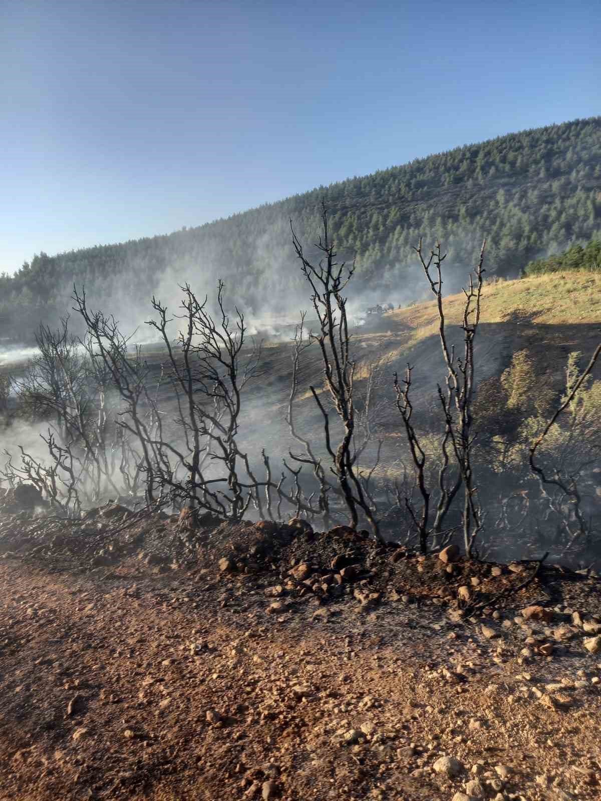 Arazide başlayan yangın ormanlık alan sıçramadan söndürüldü
