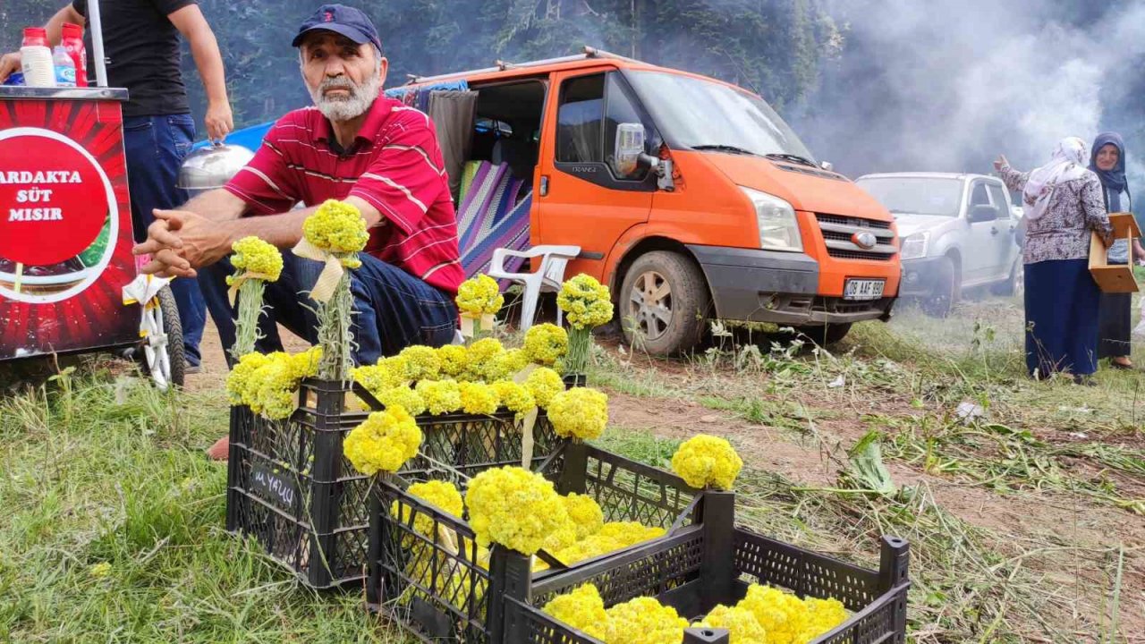 207 yıllık geleneği yaşatmak için Papart Yaylasında bir araya geldiler