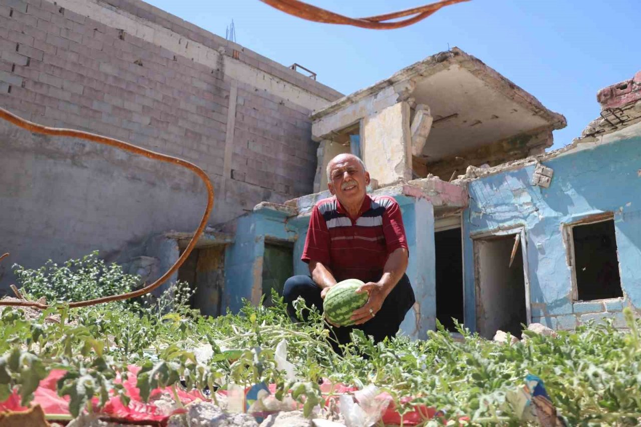 Yıkılan evin enkaz yerinde karpuz çıktı