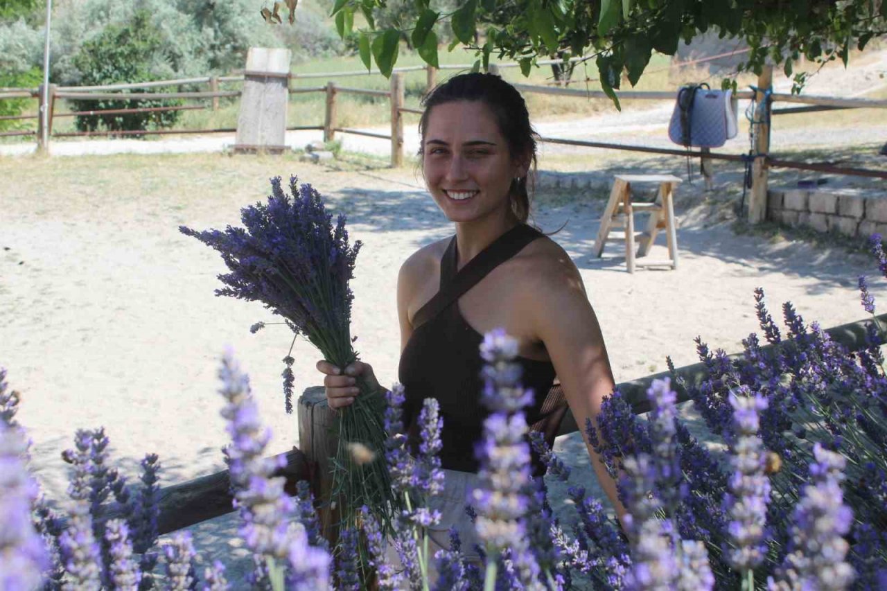 Kapadokya’nın güzelliğine lavanta dopingi
