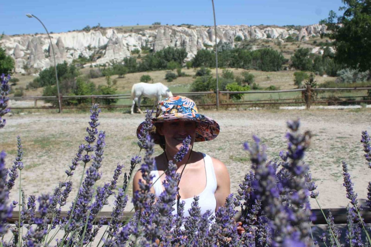 Kapadokya’nın güzelliğine lavanta dopingi