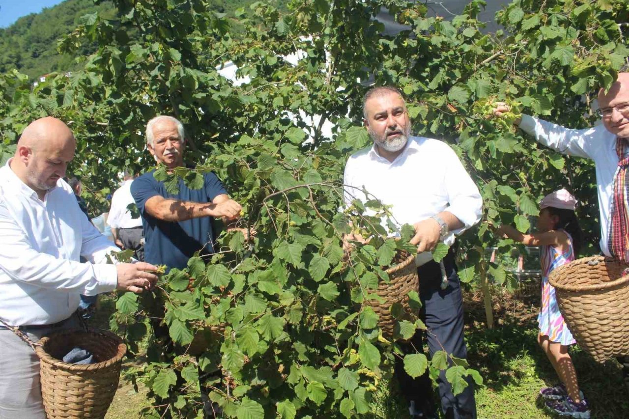 Giresun`da fındık hasadı öncesi köylüler fındık festivalinde buluştu