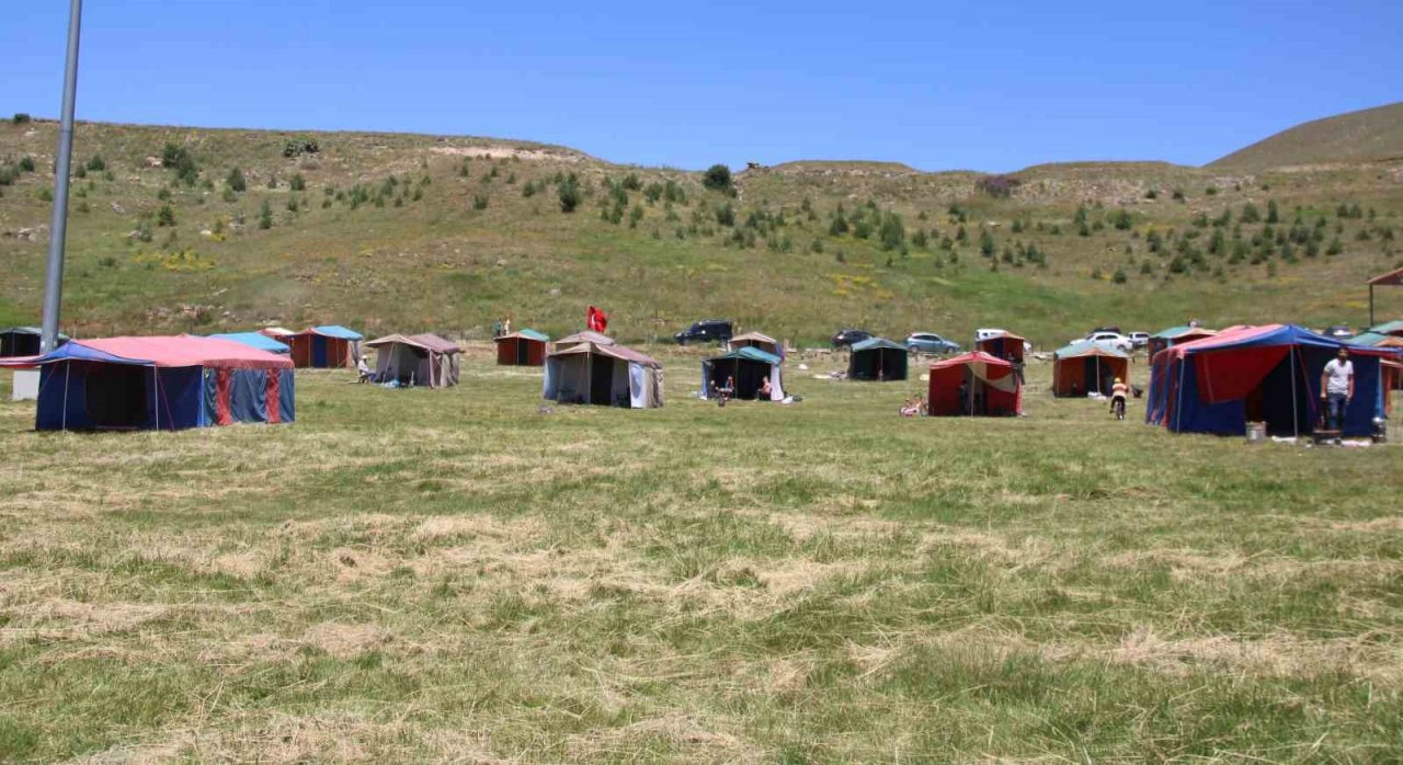 Sıcaktan bunalan dağa kaçtı