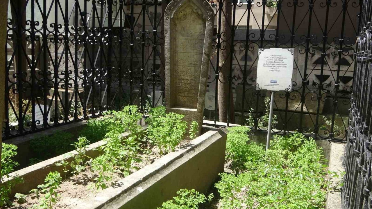 Yıllardır tarihe tanıklık ediyor