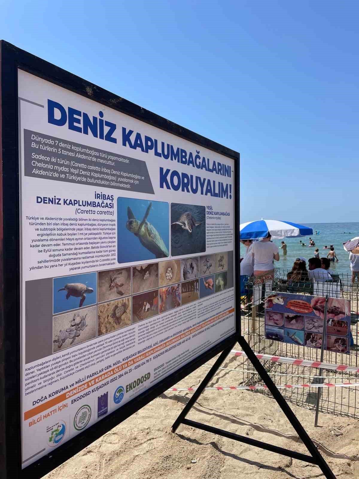 Kuşadası Belediyesi’nden Caretta Caretta yuvaları için bir önlem daha