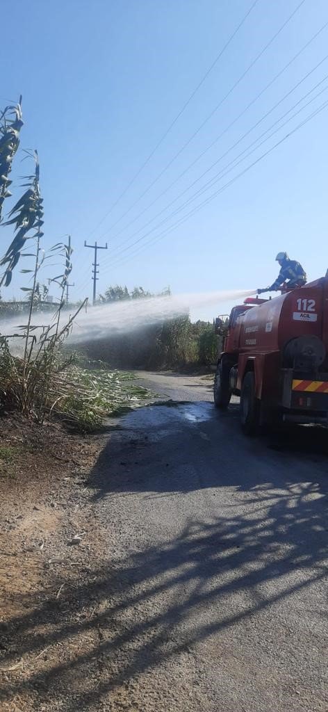 Manisa’daki yangına müdahale devam ediyor