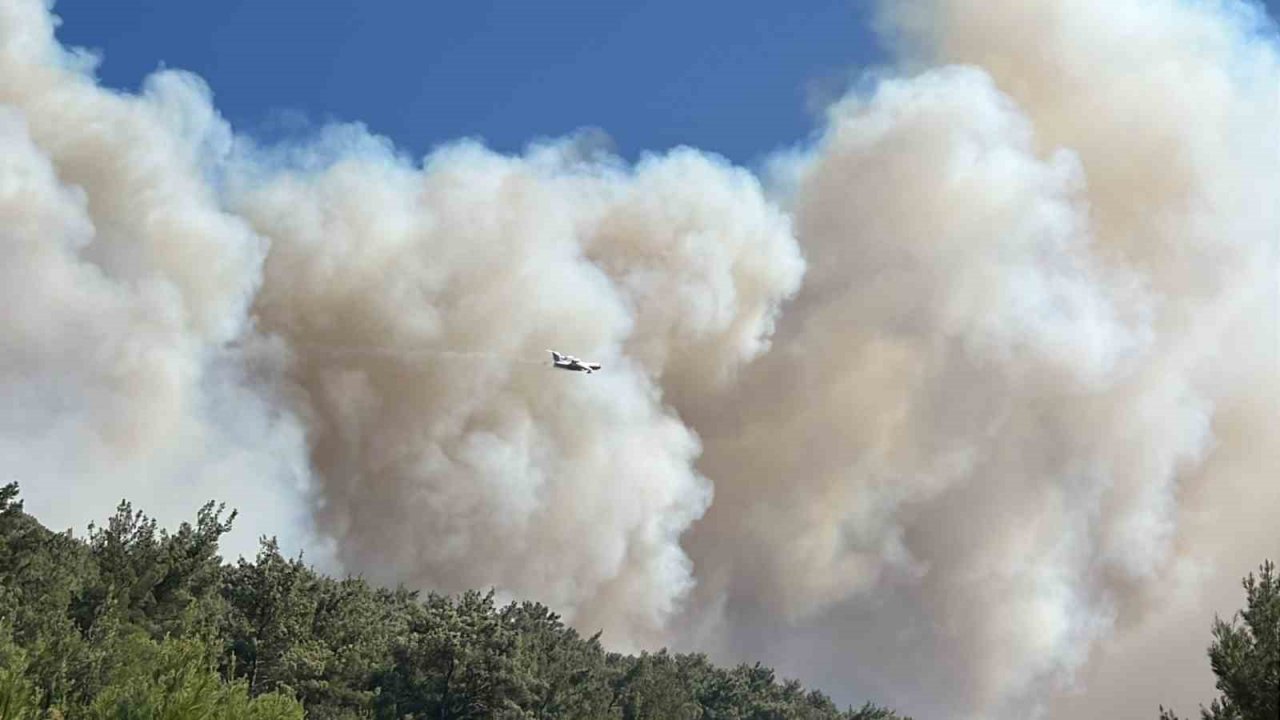 Manisa’da orman yangını: Birçok ev yandı, vatandaşlar tahliye ediliyor