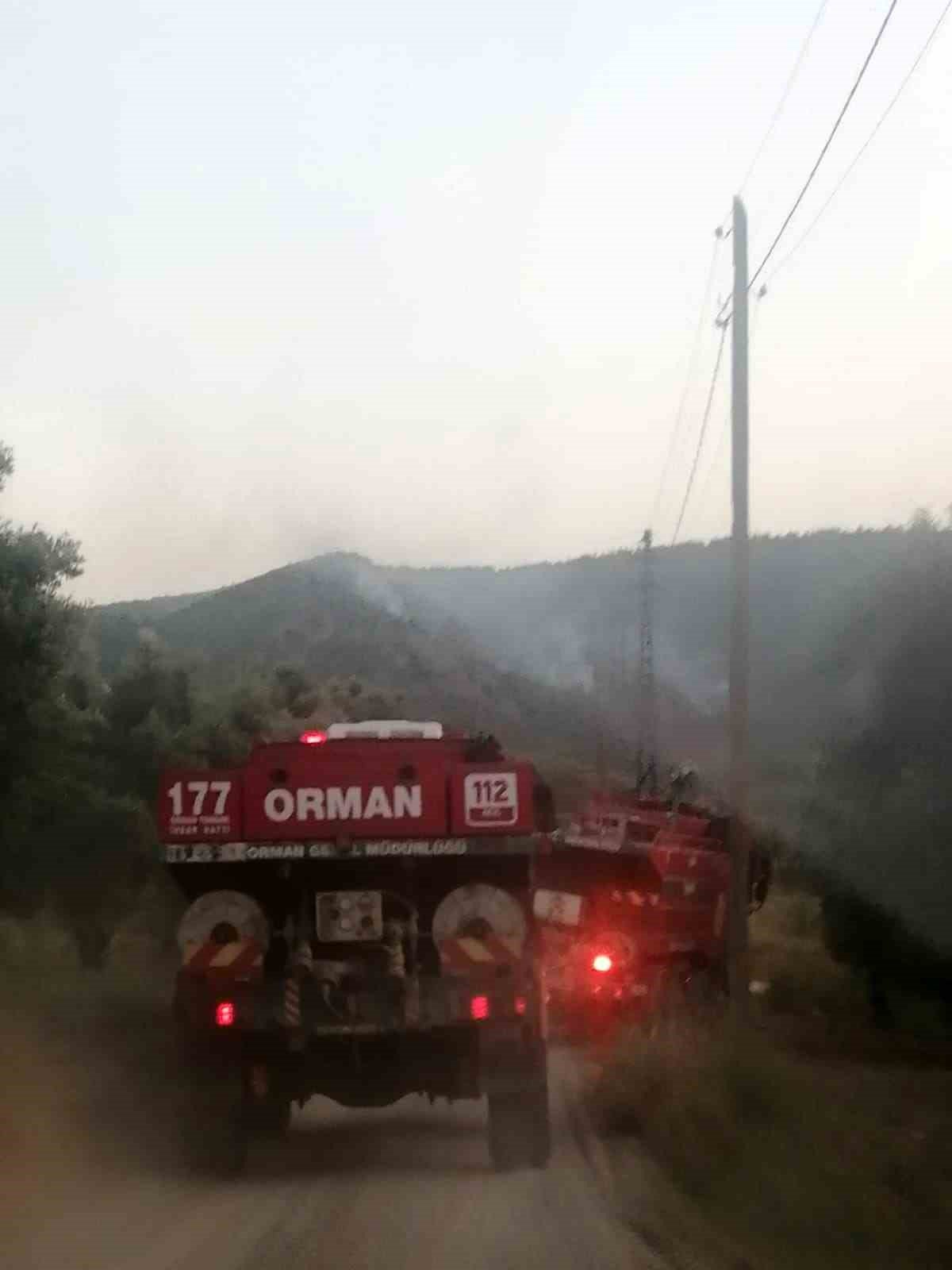 Osmaneli’nde çıkan orman yangını kontrol altına alındı