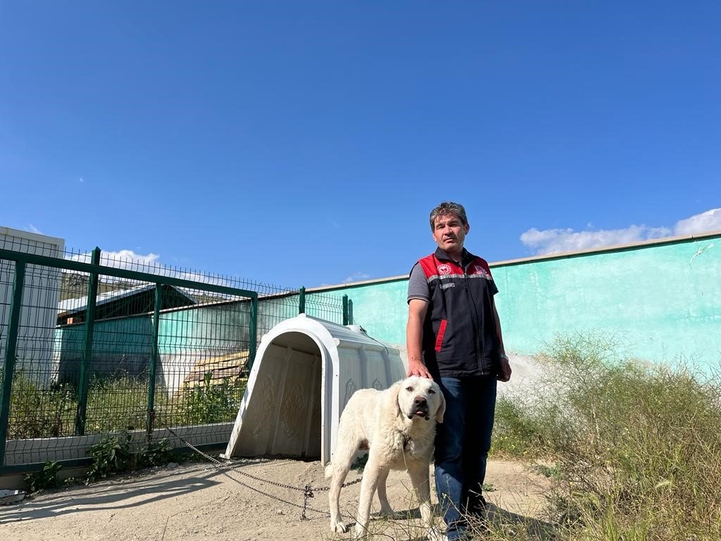 Koruma altındaki Sivrihisar akbaşlarının üreme dönemi başladı