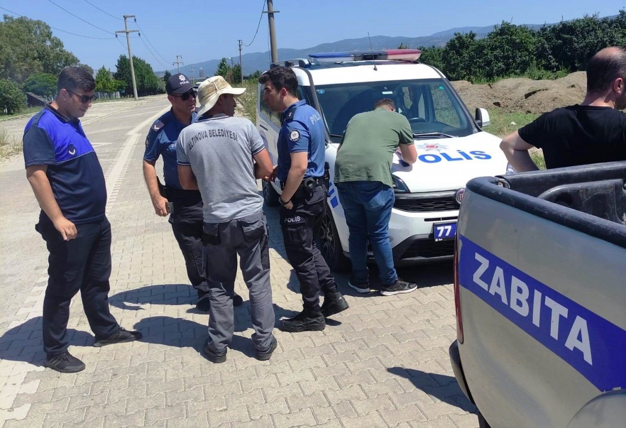 Altınova’da 3 kasa deniz börülcesiyle yakalandı