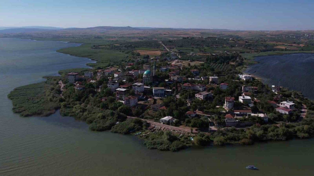 Yaren leylek ve 4 yavrusu vedaya hazırlanıyor