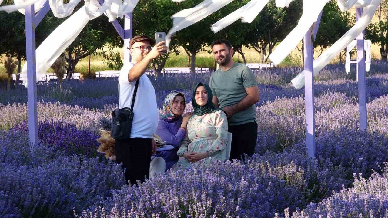 Bozkırın ortasında lavanta bahçesi oluşturdu, ziyaretçi akınına uğruyor