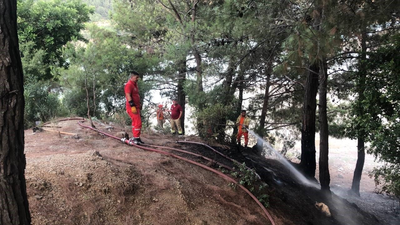 Kozan’da orman yangını