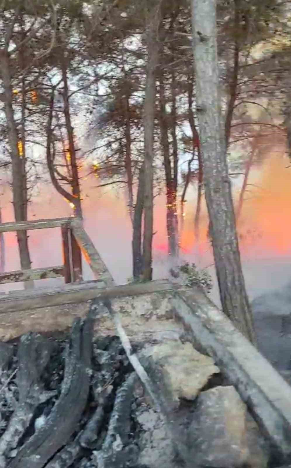 Yangın söndürüldü, vatandaş piknikçilere tepki gösterdi