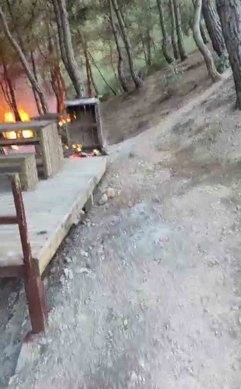 Yangın söndürüldü, vatandaş piknikçilere tepki gösterdi