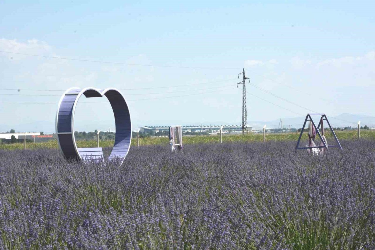 Akyurt’ta lavanta bahçesi açıldı