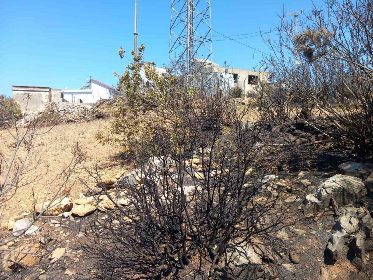 Alanya’da avokado bahçesinde çıkan yangında 9 dönüm alan zarar gördü