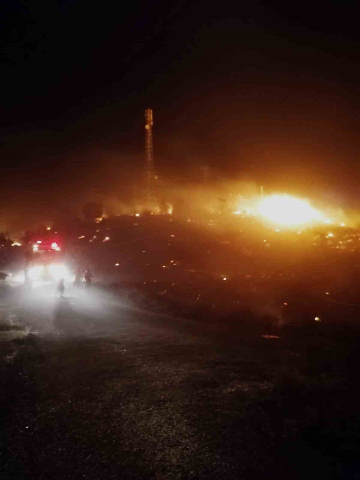 Alanya’da avokado bahçesinde çıkan yangında 9 dönüm alan zarar gördü