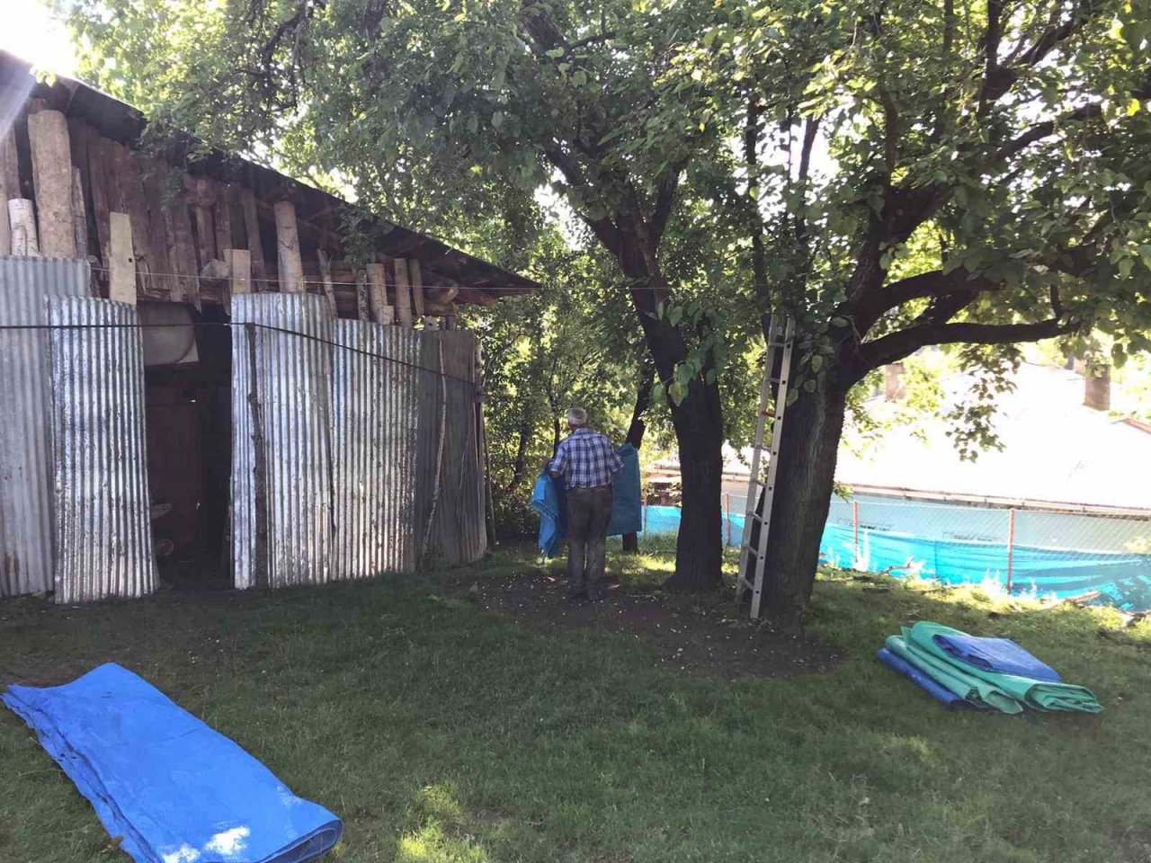 Bin rakımlı köyde dut pekmezi geleneksel yöntemlerle hazırlanıyor