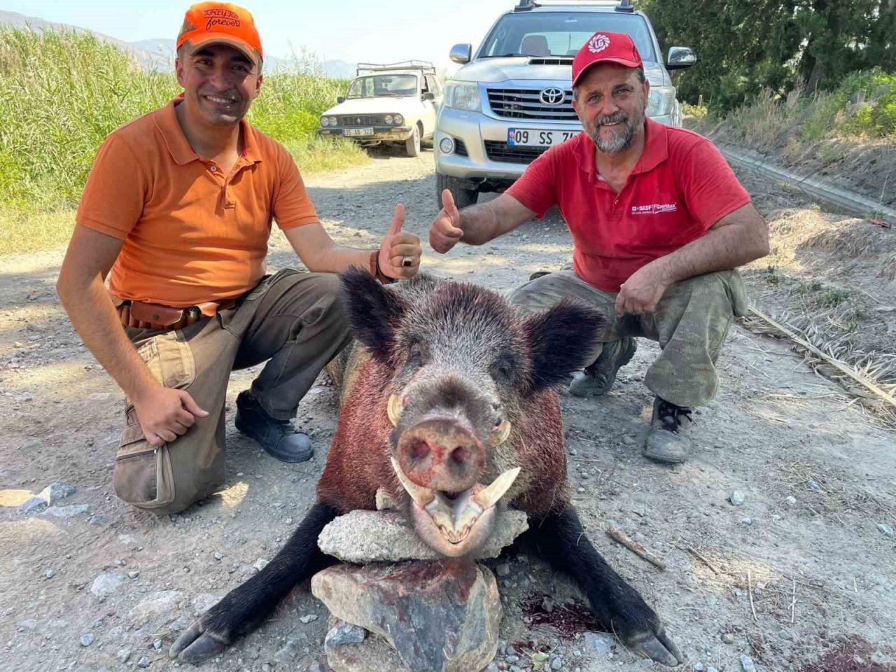 250 kiloluk dev domuz, avcılar tarafından vuruldu