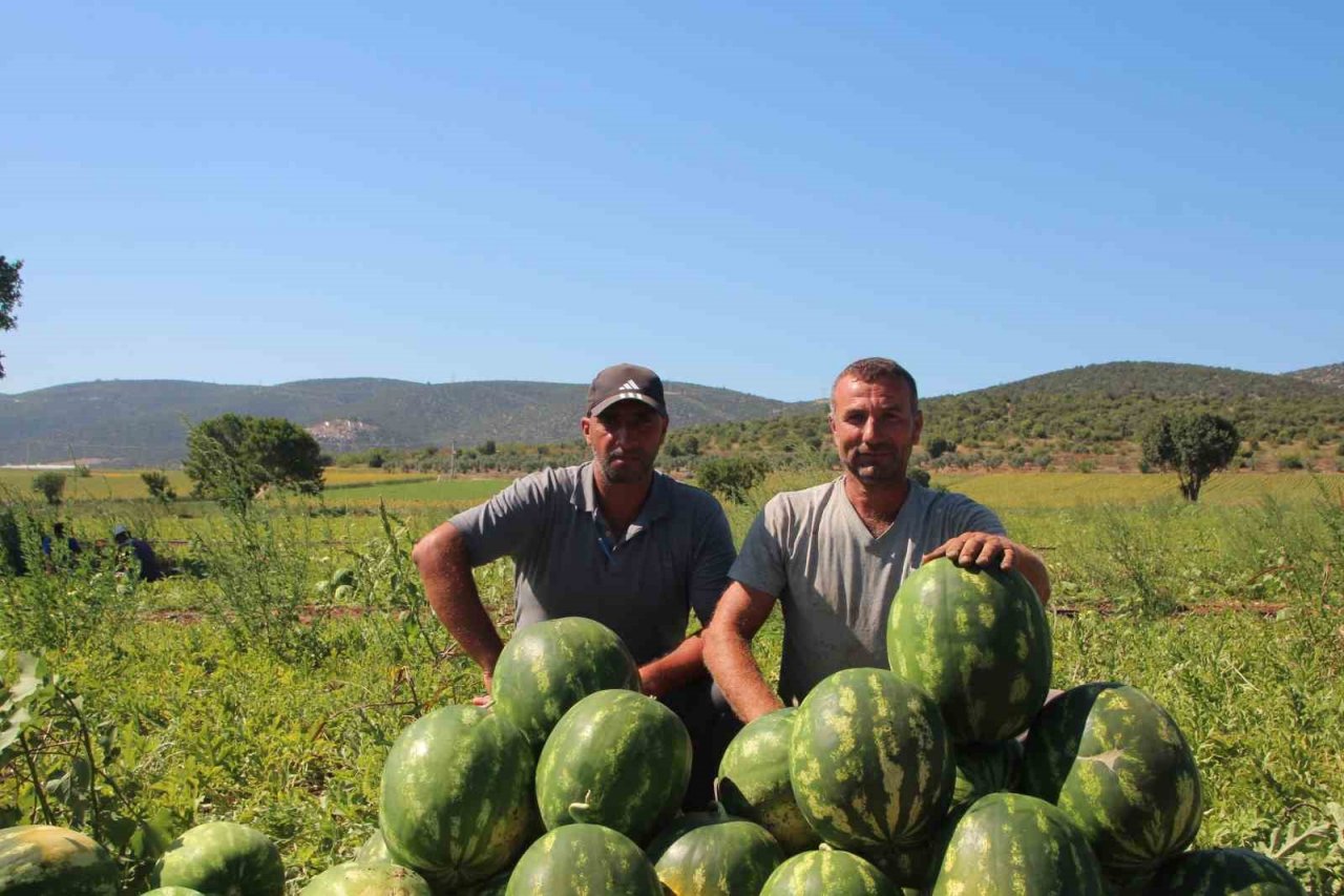 Bilecik’ten Ukrayna, Almanya ve Polonya’ya karpuz ihracatı