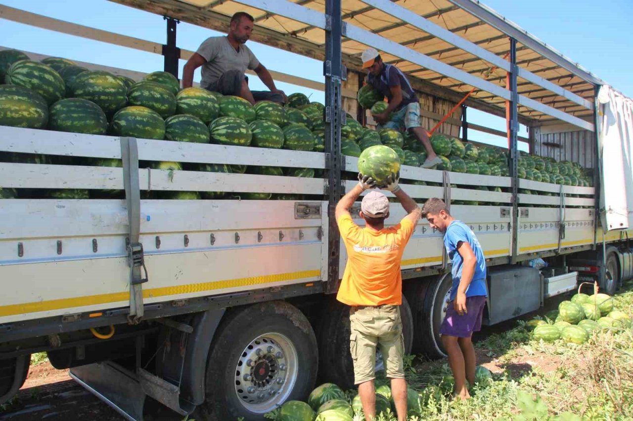Bilecik’ten Ukrayna, Almanya ve Polonya’ya karpuz ihracatı