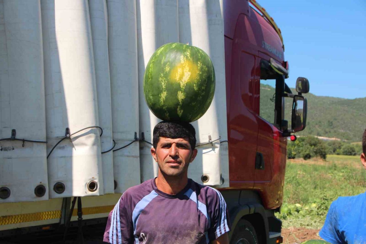 Bilecik’ten Ukrayna, Almanya ve Polonya’ya karpuz ihracatı