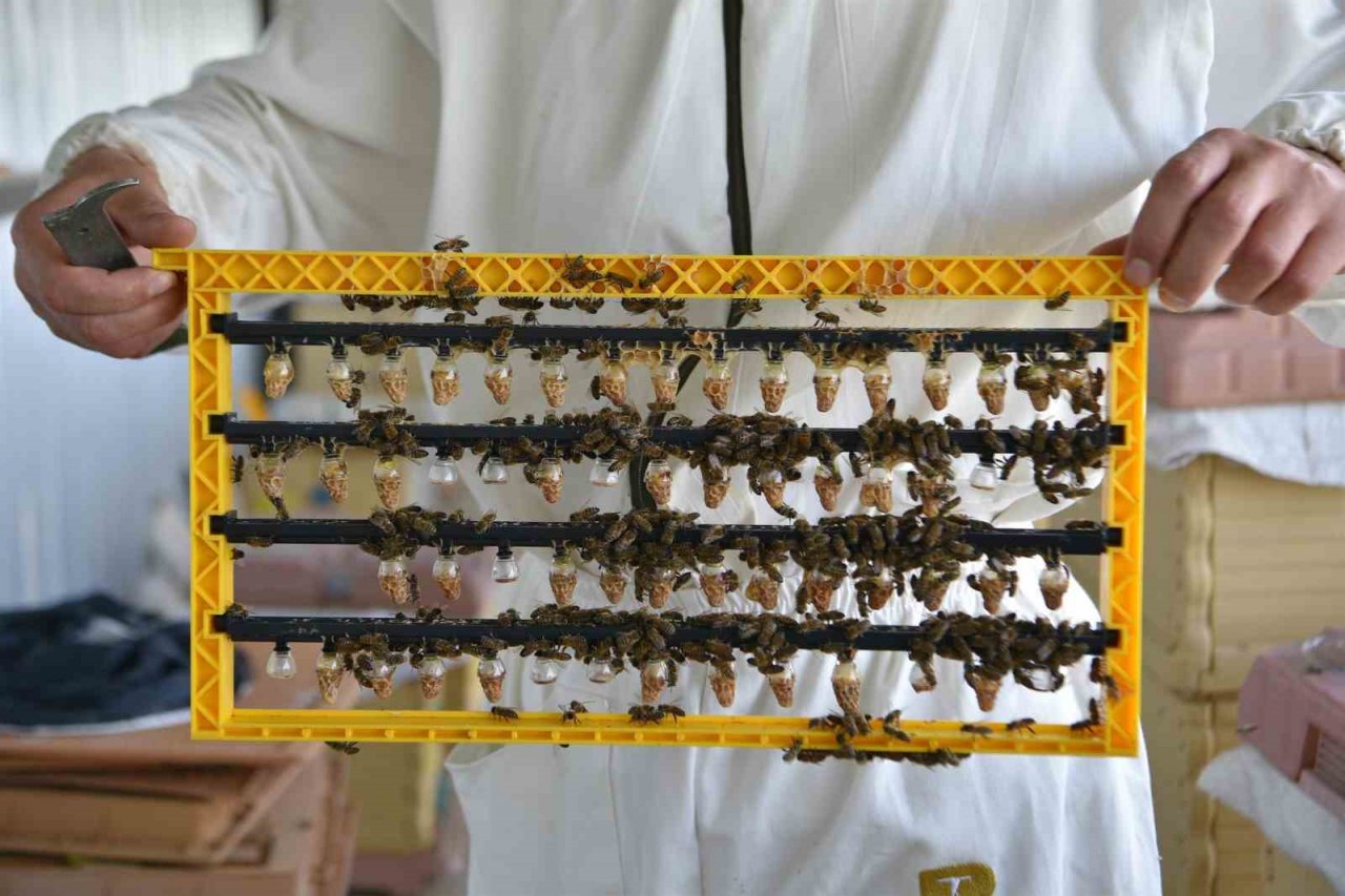 Büyükşehir, Balıkesir Ballarının kalitesini dünyaya duyurdu