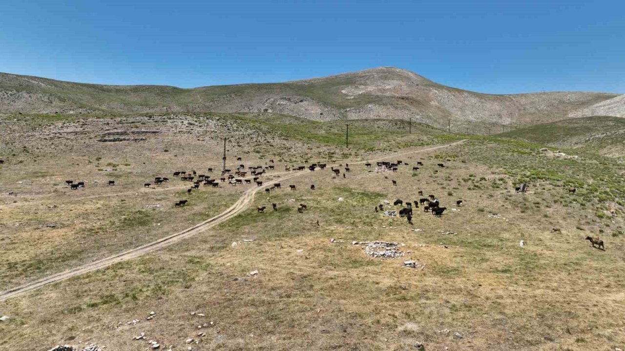 Antalya’nın “Çoban Haritası” çıkartılıyor