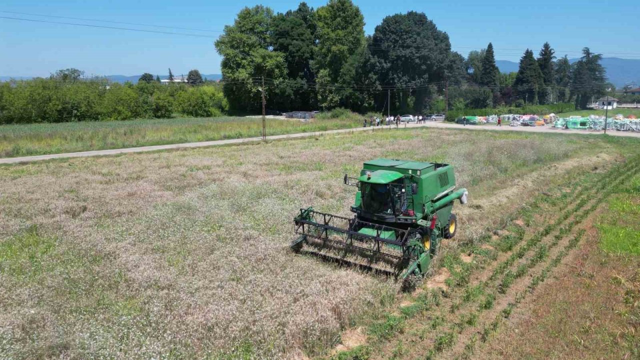 BELTUR üretiyor, işliyor ve kullanıyor