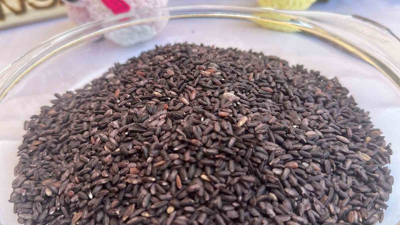 Tadına bakan paket paket aldı