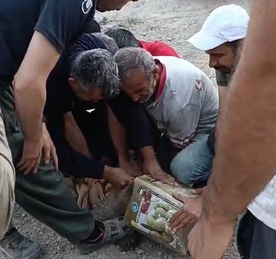 Kafası tenekeye sıkışan yavru ayı kurtarıldı