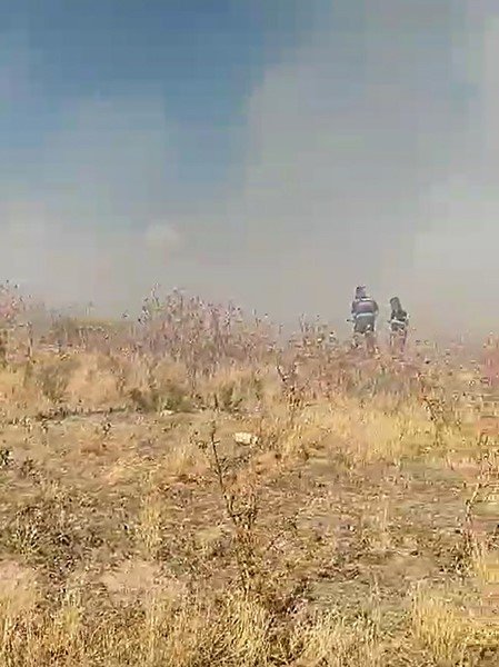 Ot yangını tarım arazilerine gelmeden söndürüldü