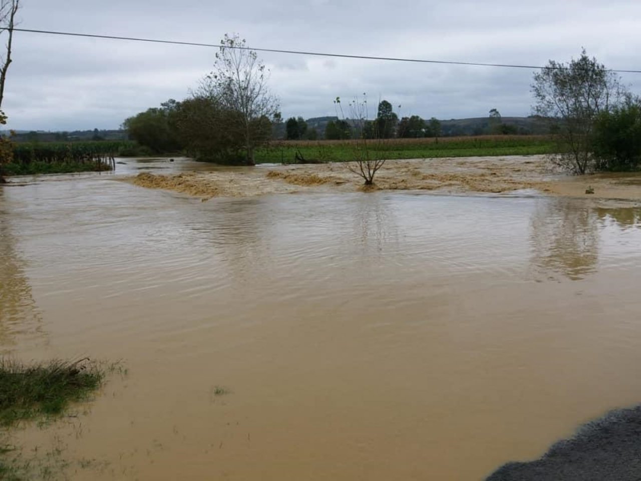 Çiftçilere yüz 100 hibe desteği