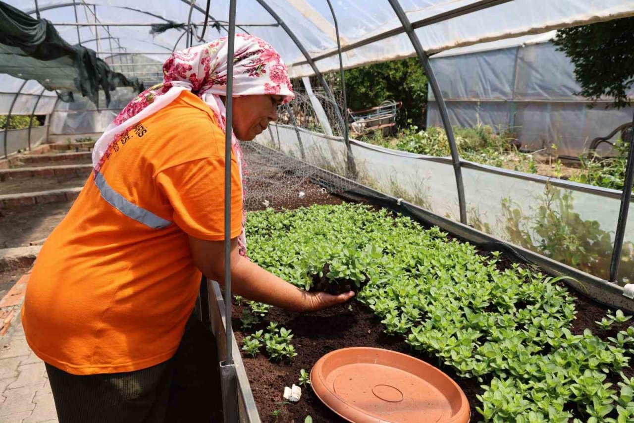 Marmaris Belediyesi, üreterek tasarruf etti