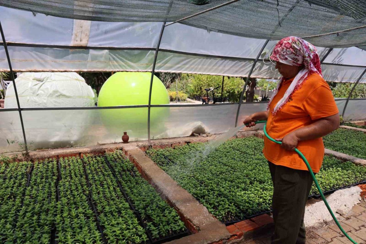 Marmaris Belediyesi, üreterek tasarruf etti